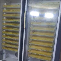 دستگاه جوجه کشی۹۲۴|لوازم جانبی حیوانات|گرمسار, |دیوار