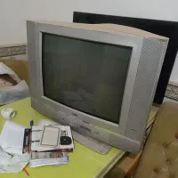 تلویزیون