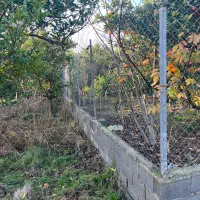 شمال-سیمرغ-کیاکلا