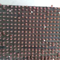 تابلوال ای دی|ریسه و چراغ تزئینی|اراک, |دیوار