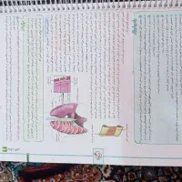 زیست خیلی سبز دهم|کتاب و مجله آموزشی|مشگین شهر, |دیوار