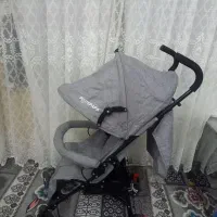 دوعدد کالسکه عصایی
