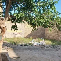 زمین ۸۵متری|فروش زمین و ملک کلنگی|مشهد, علی آباد|دیوار