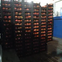 نیسان باربری حمل و نقل اثاثیه اسباب کشی بار|خدمات حمل و نقل|خرمآباد, |دیوار