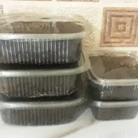 سبزی سرخ کرده|خوردنی و آشامیدنی|رشت, پل تالشان|دیوار