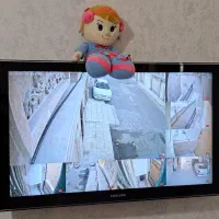 برقکار سیم کشی ساختمان|خدمات پیشه و مهارت|کرمانشاه, |دیوار