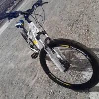 دوچرخه king  al|دوچرخه، اسکیت، اسکوتر|محلات, |دیوار