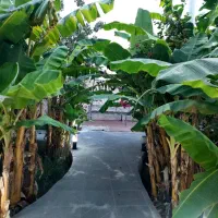 ویلا باغ استخر ۱۰۰ متری آب گرم . پل الغدیر|اجارهٔ کوتاه‌مدت ویلا و باغ|اندیمشک, |دیوار