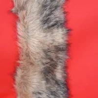 خز یقه آرشال و شکاری در چند رنگ