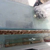 فروش اکواریوم