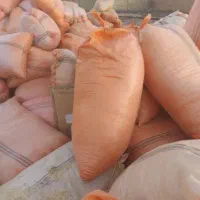 فروش کاه گندم گونی شده