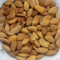 مغزبادام درختی|خوردنی و آشامیدنی|مشهد, طرق|دیوار