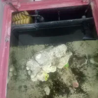آکواریوم