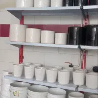 گل وگیاه|گل و گیاه طبیعی|یزد, |دیوار