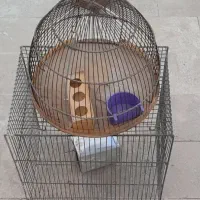 قفس پرنده
