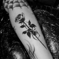 تتوبدن|خدمات آرایشگری و زیبایی|اسفراین, |دیوار