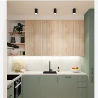 نظافتچی منزل یا محل کار خانوم