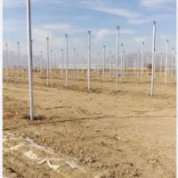 ساخت گلخانه|خدمات باغبانی و درختکاری|سیستان, |دیوار