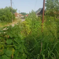 زمین مسکونی روستایی گیلان|فروش زمین و ملک کلنگی|رودبنه, |دیوار