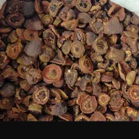 لتکه تازه درجه یک