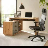 استخداممنشی.