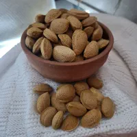 بادام سنگی درجه یک امسال