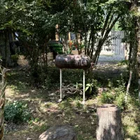 اجاره روزانه|اجارهٔ کوتاه‌مدت ویلا و باغ|شاندرمن, |دیوار