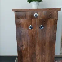 جاکفشی تروتمیز سالم