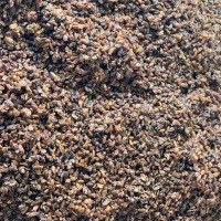 کشمش درجه ۱|عمدهفروشی|رحیمآباد, |دیوار