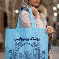 بگ دستی اقتصادی