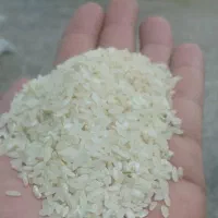 برنج کامفیروزی درجه یک از دیار رنج و برنج|خوردنی و آشامیدنی|کامفیروز, |دیوار