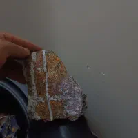 کلکسیون سنگ های زینتی و فسیل صدف و حلزون دریایی|کلکسیون و سرگرمی|اصفهان, جلالیه|دیوار