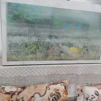 آکواریم 75*35و در ارتفاع45