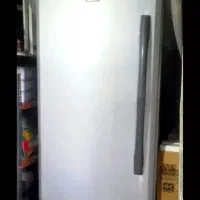 یخچال دو قلو