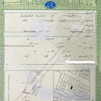 زمین-300-متری-با-تراکم-زیاد-مجیدیه