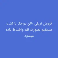 فروش فوری کشت مستقیم ، تریلی ۱۰ تن دو جک نو|ماشین‌آلات صنعتی|اهواز, شهرک رزمندگان|دیوار