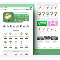 طراحی سایت، فروش ساز