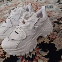 کفش|کیف، کفش، کمربند|بجنورد, |دیوار