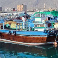 واردات ته لنجی