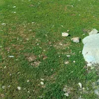 پ ن ج ه بوکس