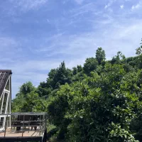 اجاره کلبه سوئیسی لاهیجان