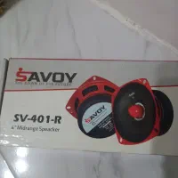 دو عدد میدرنج