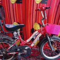 سایز۱۶|دوچرخه، اسکیت، اسکوتر|نقده, |دیوار