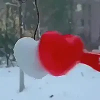 قالب فانتزی برنج|ظروف پخت‌وپز|قم, نخودی|دیوار