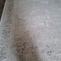 قالی 9 متری|فرش|سیرجان, |دیوار