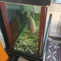 فروش آکواریوم ۱۰ میل با تمام وسایل و تجهیزات