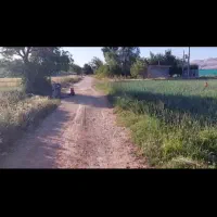 زمین کشاورزی