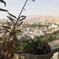 اپارتمان یک خوابه در مجتمع مدرس بلوک ۲۴|فروش آپارتمان|شیراز, منطقه هوایی شهید دوران|دیوار