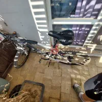 دوچرخه ویوا