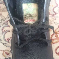 کفش شماره ۴۲